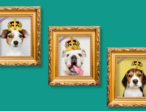 Nom de chien de président