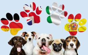 nom chiens dans le monde