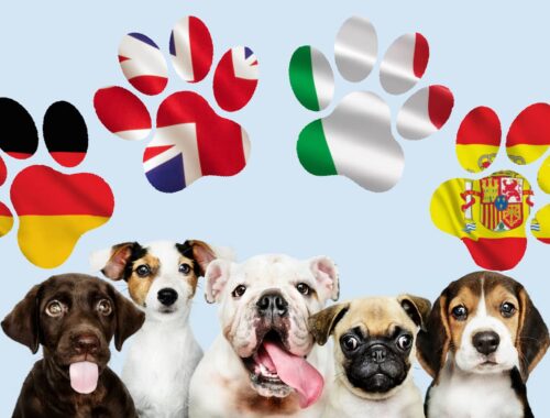 nom chiens dans le monde