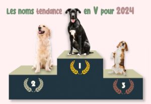 nom tendance en v chien 2024