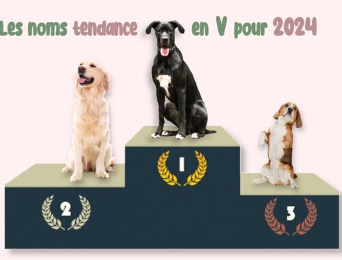 nom tendance en v chien 2024