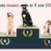 nom tendance en v chien 2024