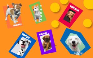 noms de chiens