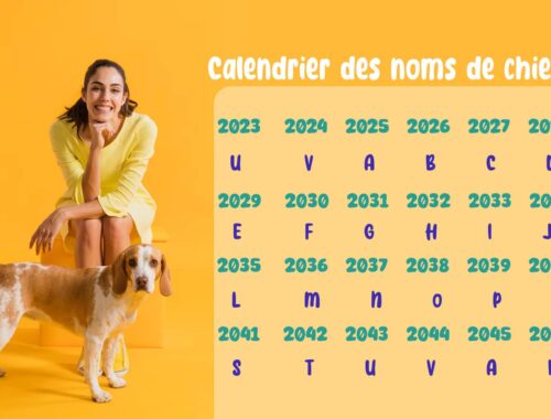règle Lof nom chien