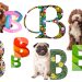 Nom chien en b 2026